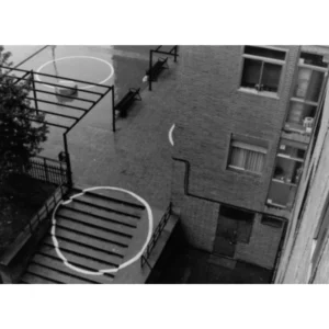 Javier Guerra Círculos